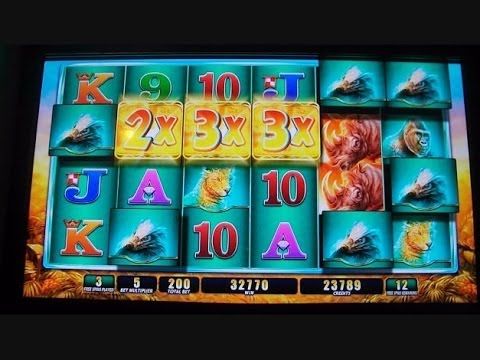 Largest slot machine jackpot